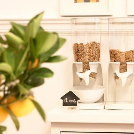 Hostel Nest House Lissabon